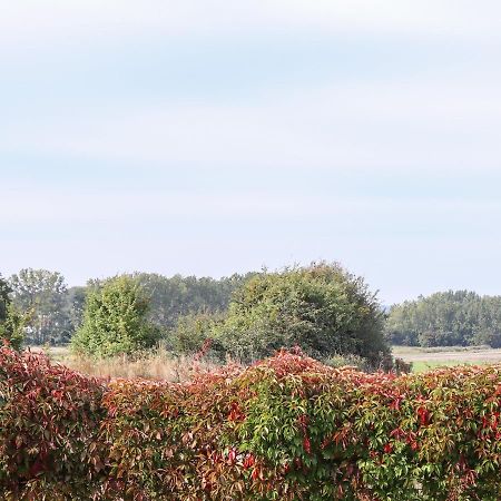Lodge Two, Country View Park 法弗舍姆 外观 照片